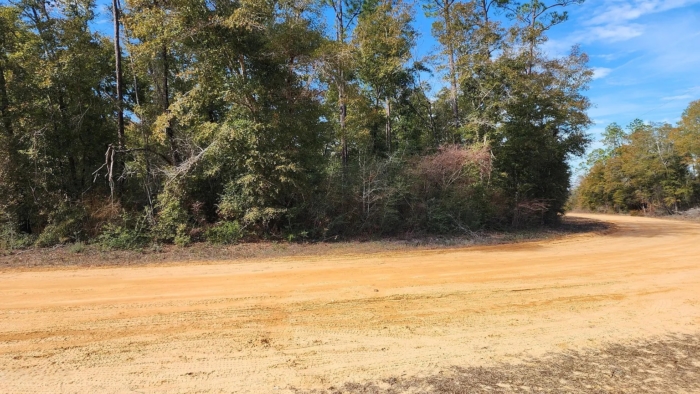 1.51 Acres, Jackson County FL, Parcel 02-2N-11-0095-2750-0480 1.51 Acres, Jackson, Florida 02-2N-11-0095-2750-0480 - Image 9