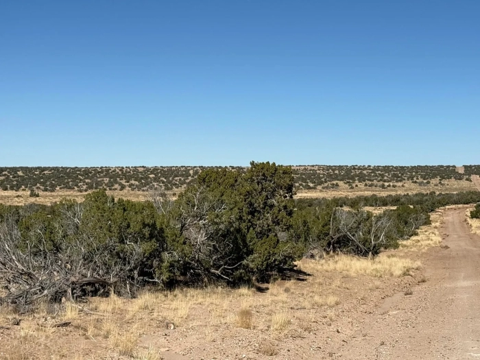 72.55 Acres, Apache County AZ, Combined