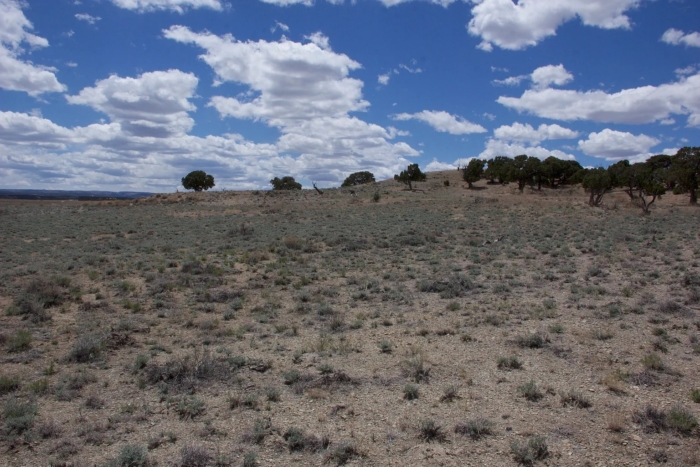 5 Acres, Duchesne County UT, Parcel 00-0027-8832