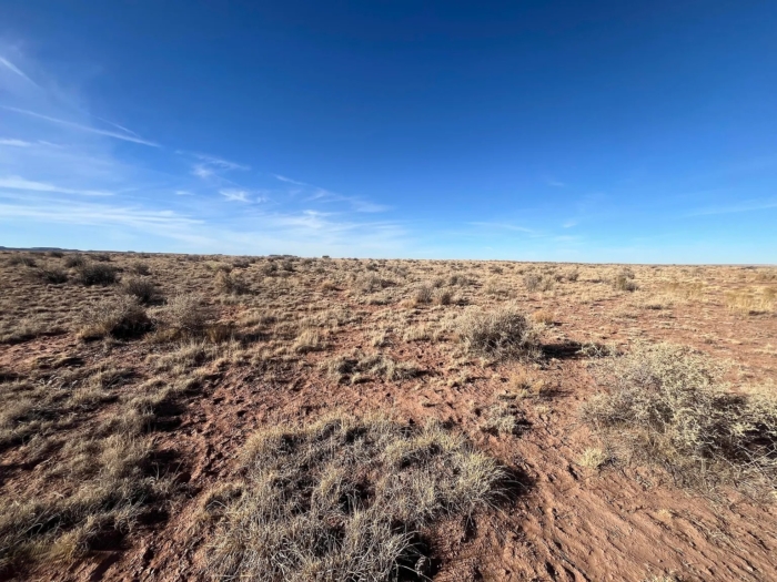 18.78 Acres, Navajo County AZ, Parcel 106-18-008A 18.78 Acres, Navajo, Arizona 106-18-008A - Image 9