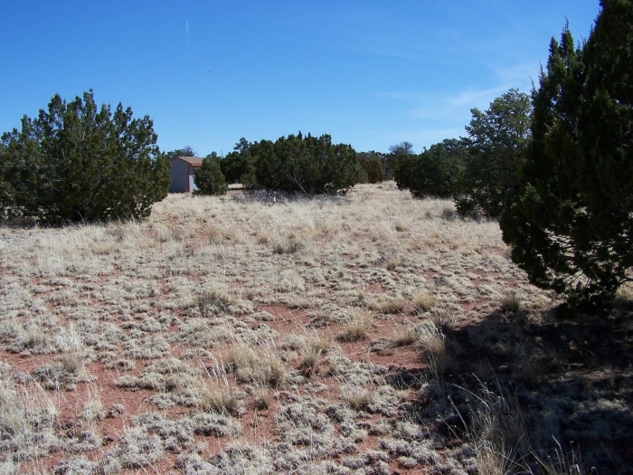 1.06 Acres in Coconino County, Arizona, Off-Grid Retreat with Campsite & Cabin Potential, Parcel 501-56-131 - Image 17