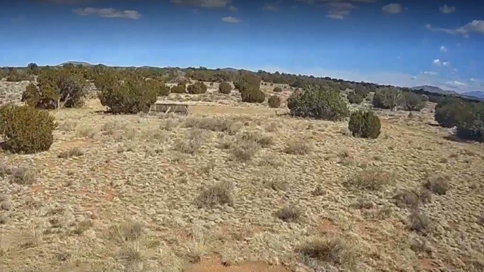 1.06 Acres in Coconino County, Arizona, Off-Grid Retreat with Campsite & Cabin Potential, Parcel 501-56-131 - Image 6