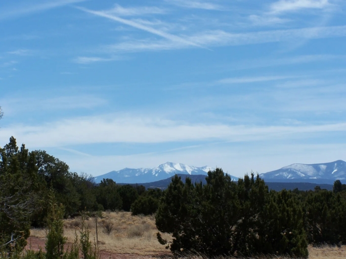 1.06 Acres in Coconino County, Arizona, Off-Grid Retreat with Campsite & Cabin Potential, Parcel 501-56-131 - Image 2
