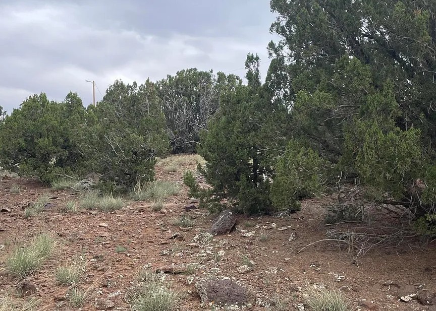 10 Acres, Apache County AZ, Parcel 107-43-002A 10 Acres, Apache, Arizona 107-43-002A - Image 16