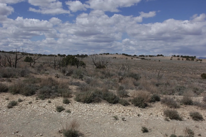 5 Acres, Duchesne County UT, Parcel 00-0027-8832 - Image 3
