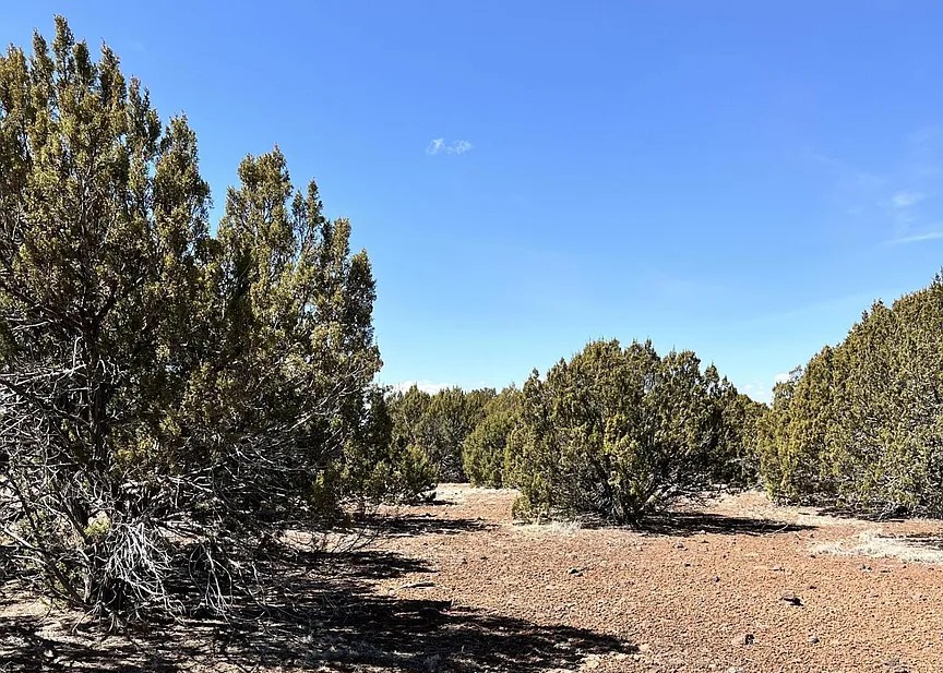 10 Acres, Apache County AZ, Parcel 107-43-002A 10 Acres, Apache, Arizona 107-43-002A - Image 17