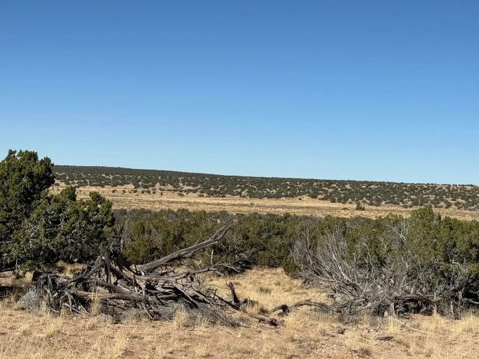 72.55 Acres, Apache County AZ, Combined - Image 4
