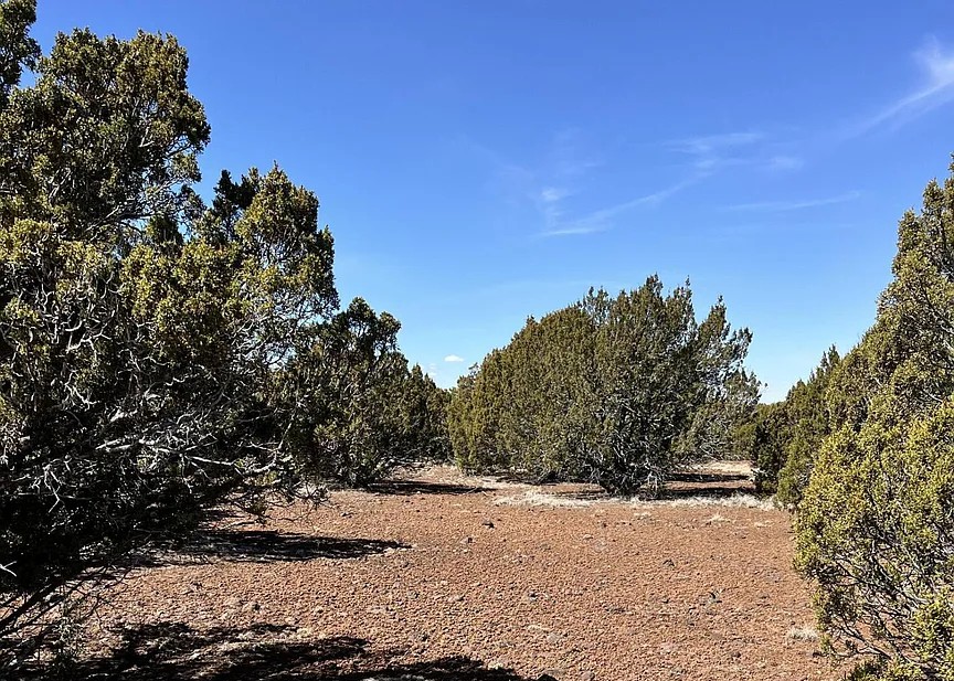 10 Acres, Apache County AZ, Parcel 107-43-002A 10 Acres, Apache, Arizona 107-43-002A - Image 18