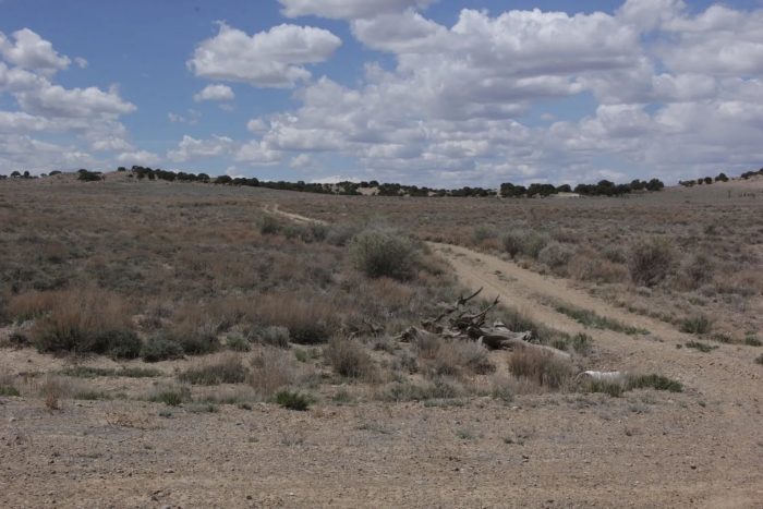 5 Acres, Duchesne County UT, Parcel 00-0027-8832 - Image 5