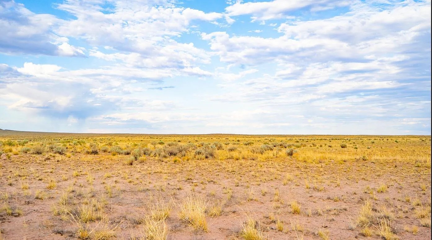 40.0 Acres, Apache County AZ, Parcel 211-13-008 40 Acres, Apache, Arizona 211-13-008 - Image 6