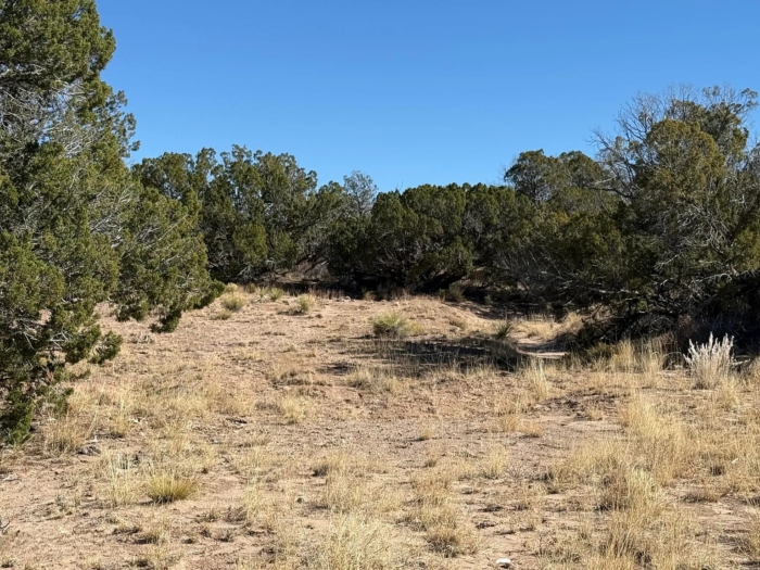 72.55 Acres, Apache County AZ, Combined - Image 6