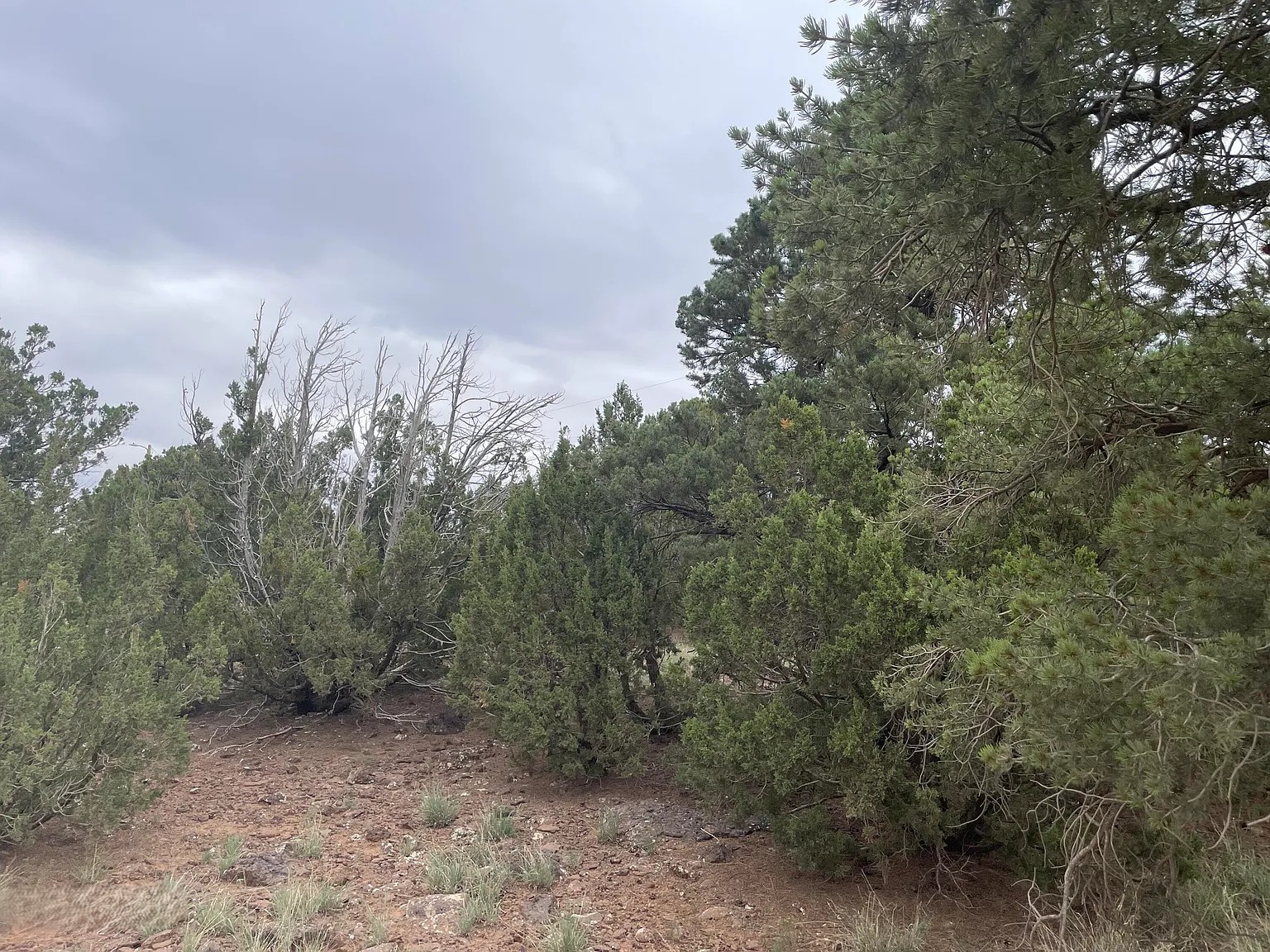 10 Acres, Apache County AZ, Parcel 107-43-002A 10 Acres, Apache, Arizona 107-43-002A - Image 19