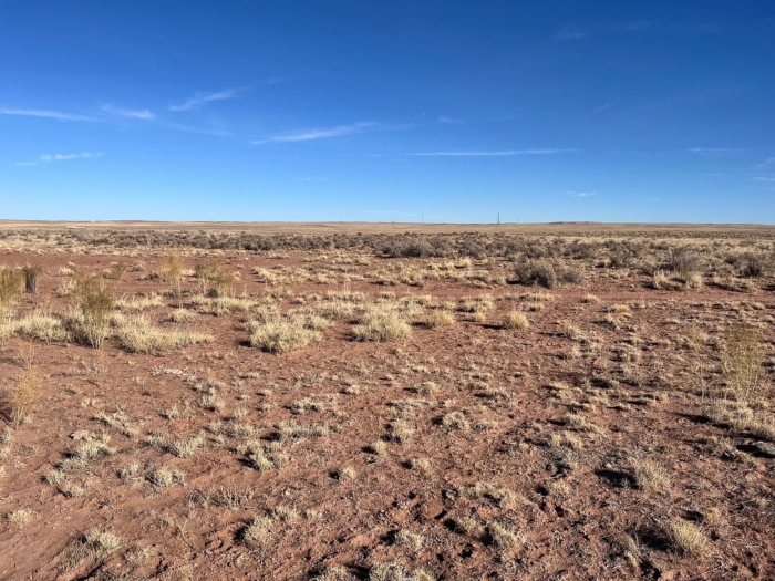 18.78 Acres, Navajo County AZ, Parcel 106-18-008A 18.78 Acres, Navajo, Arizona 106-18-008A - Image 13