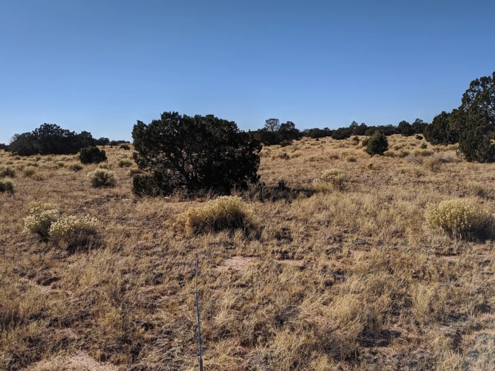 1.06 Acres in Coconino County, Arizona, Off-Grid Retreat with Campsite & Cabin Potential, Parcel 501-56-131 - Image 13