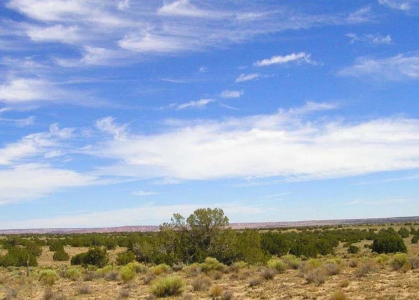 10 Acres, Apache County AZ, Parcel 205-27-016B 10 Acres, Apache, Arizona 205-27-016B - Image 16