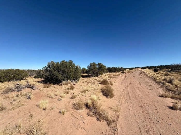 72.55 Acres, Apache County AZ, Combined - Image 7