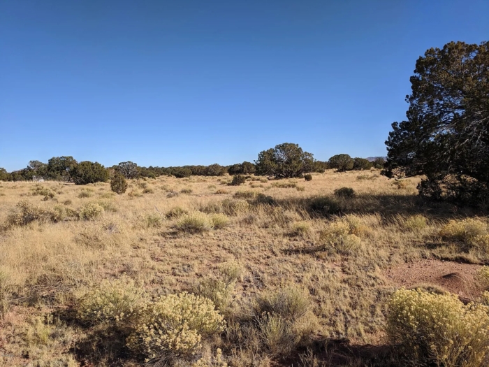 1.06 Acres in Coconino County, Arizona, Off-Grid Retreat with Campsite & Cabin Potential, Parcel 501-56-131 - Image 12