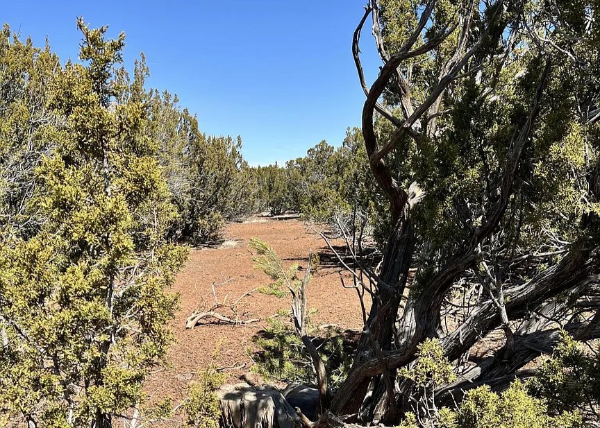 10 Acres, Apache County AZ, Parcel 107-43-002A 10 Acres, Apache, Arizona 107-43-002A - Image 21
