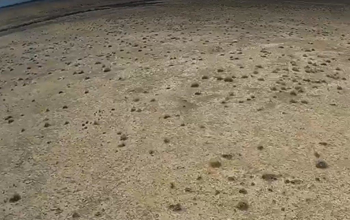 36.8 Acres, Apache County AZ, Parcel 204-64-810 - Image 2