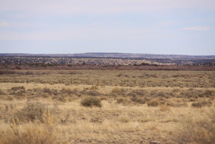 36.8 Acres, Apache County AZ, Parcel 204-64-810 - Image 4