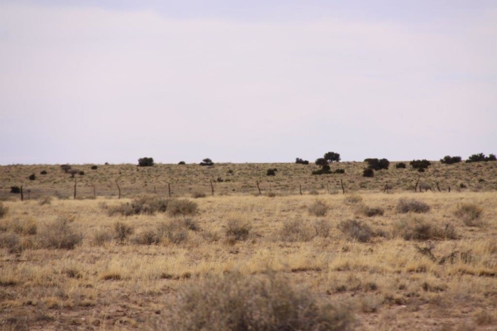 36.8 Acres, Apache County AZ, Parcel 204-64-810 - Image 5
