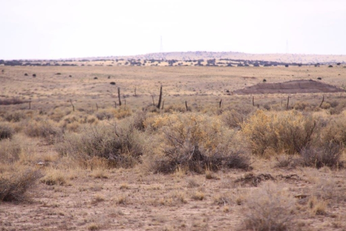 36.8 Acres, Apache County AZ, Parcel 204-64-810 - Image 6