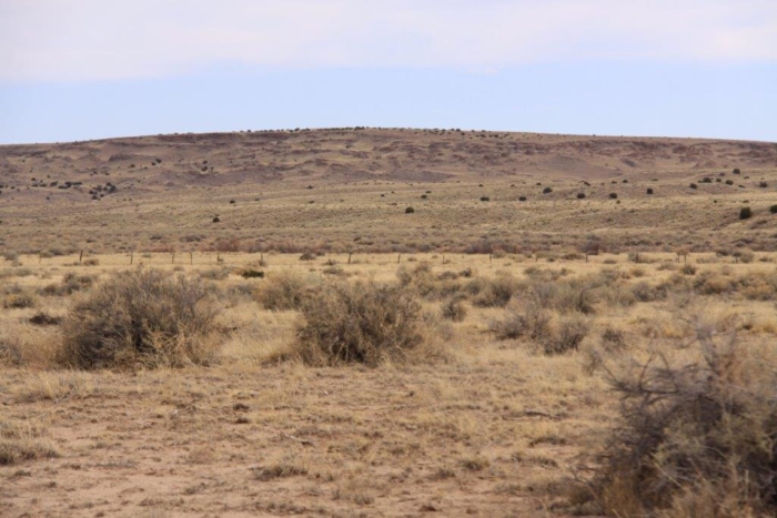 36.8 Acres, Apache County AZ, Parcel 204-64-810 - Image 7