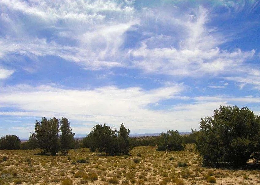 10 Acres, Apache County AZ, Parcel 205-27-016B 10 Acres, Apache, Arizona 205-27-016B - Image 18