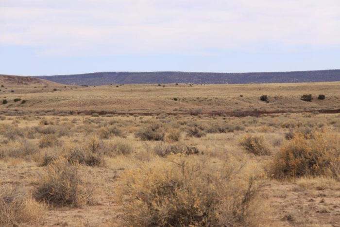 36.8 Acres, Apache County AZ, Parcel 204-64-810 - Image 12