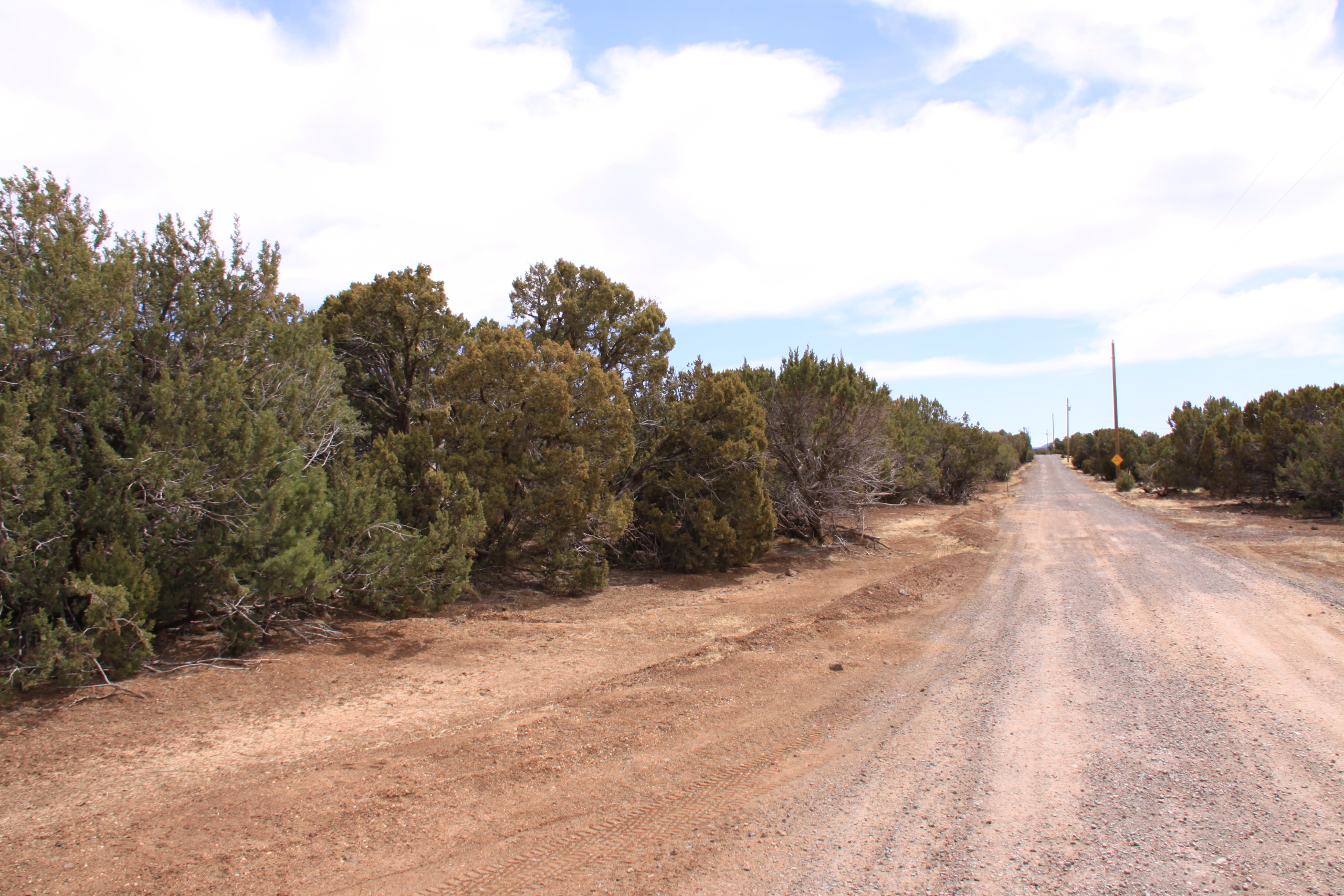 10 Acres, Apache County AZ, Parcel 107-43-002A 10 Acres, Apache, Arizona 107-43-002A - Image 12