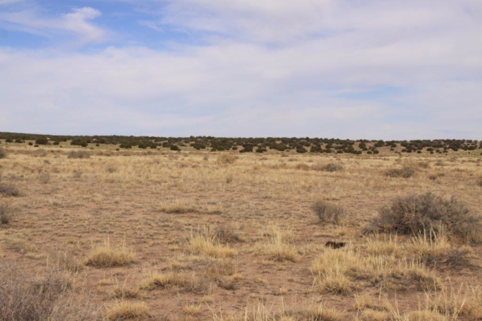36.8 Acres, Apache County AZ, Parcel 204-64-810 - Image 19