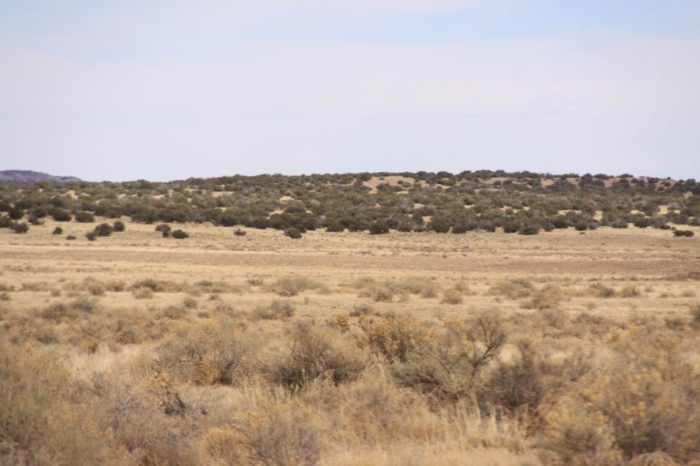 36.8 Acres, Apache County AZ, Parcel 204-64-810 - Image 21