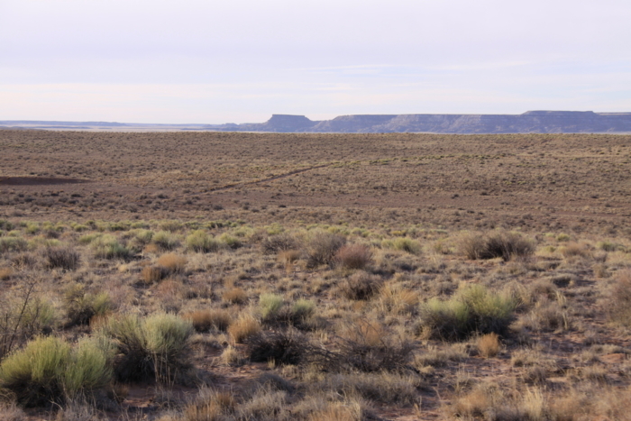 18.78 Acres, Navajo County AZ, Parcel 106-18-008A 18.78 Acres, Navajo, Arizona 106-18-008A - Image 5
