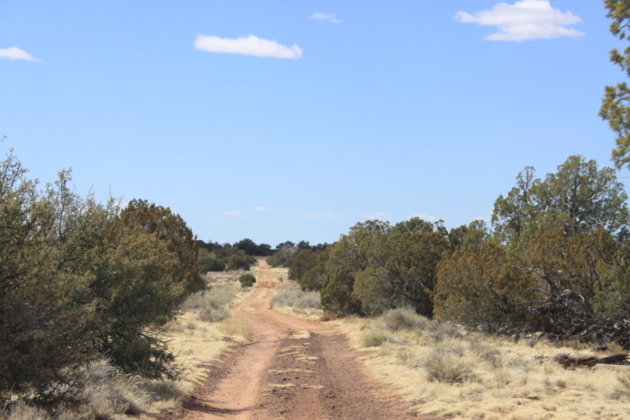 1.06 Acres in Coconino County, Arizona, Off-Grid Retreat with Campsite & Cabin Potential, Parcel 501-56-131 - Image 10