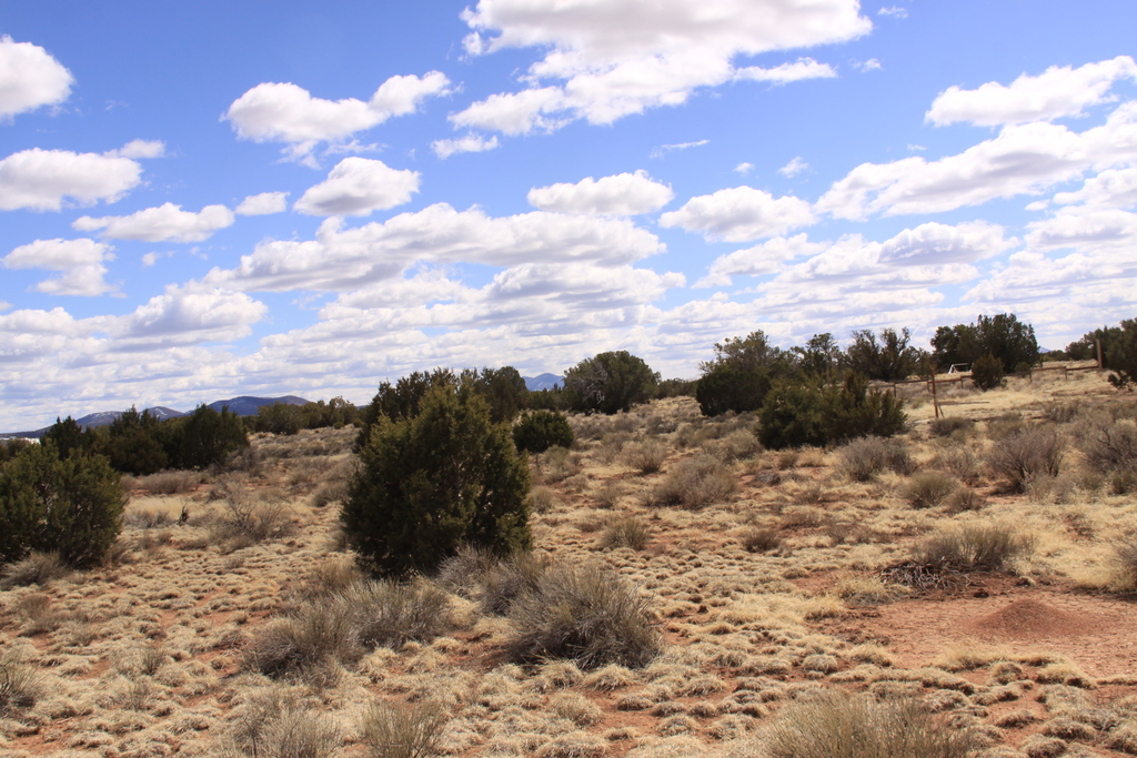 Gateway to the Grand Canyon & Tranquility  Acres, Coconino, Arizona 501-56-131 and 501-56-132 - Image 3