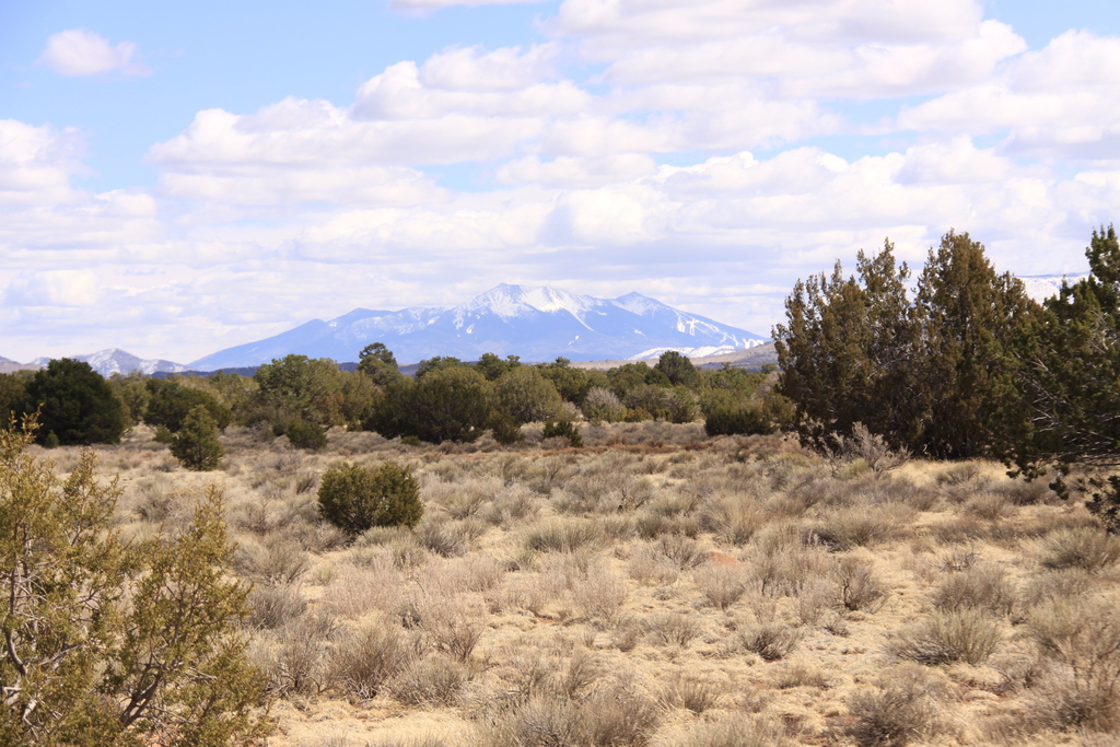Gateway to the Grand Canyon & Tranquility  Acres, Coconino, Arizona 501-56-131 and 501-56-132 - Image 4
