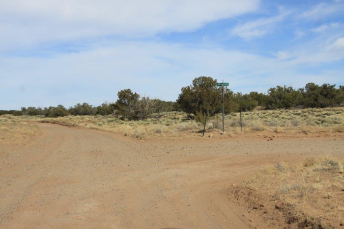36.8 Acres, Apache County AZ, Parcel 204-64-810 - Image 10