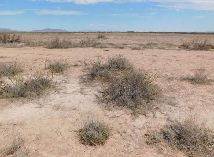 10 Acres, Apache County AZ, Parcel 212-11-013B - Image 2
