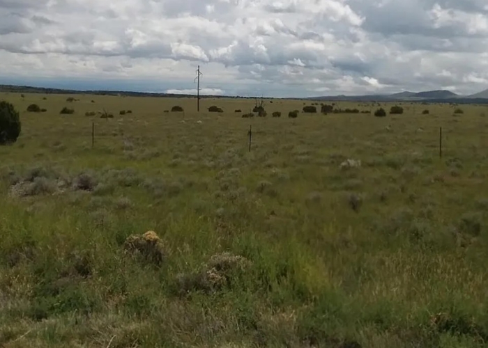 10 Acres, Apache County AZ, Parcel 212-11-013B - Image 3