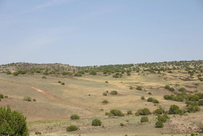 10 Acres, Apache County AZ, Parcel 212-11-013B - Image 7