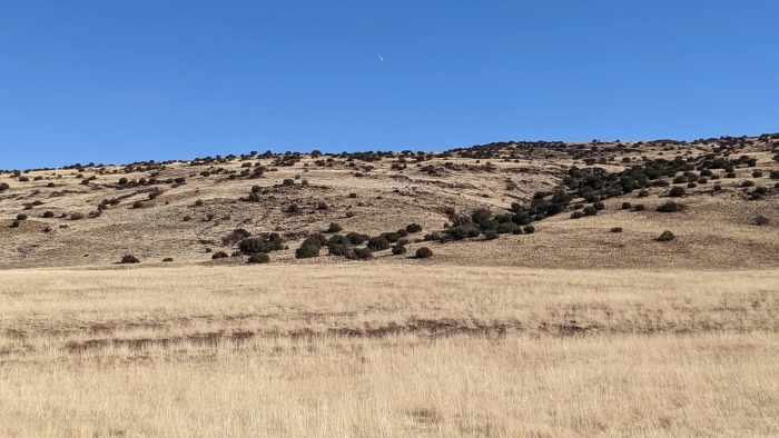 10 Acres, Apache County AZ, Parcel 212-11-013B - Image 8