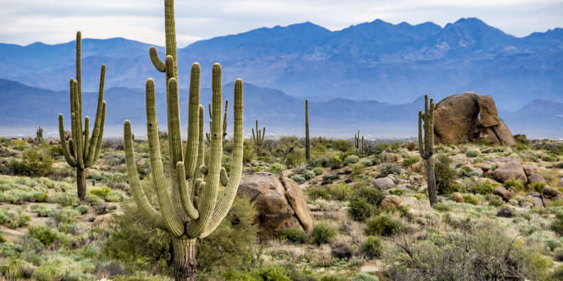 Scottsdale Scottsdale