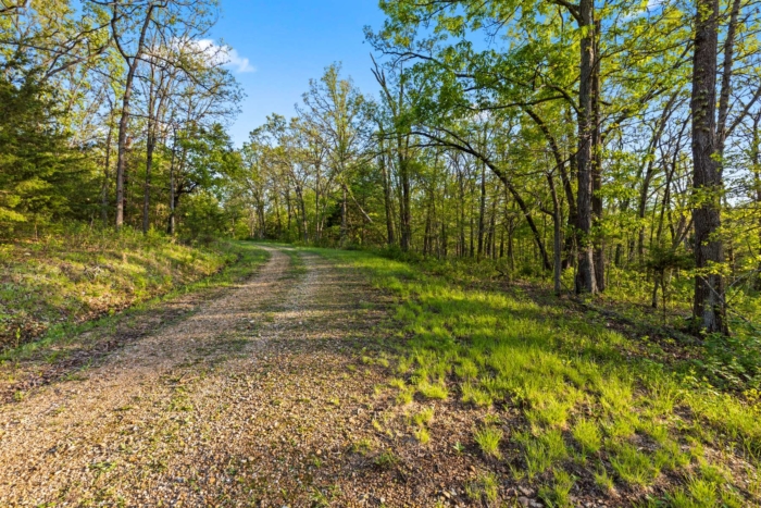 3.030 Acres, Benton County MO, Tranquil Living Close to Lake of the Ozarks, Parcel 15-5.0-22-000-003-037.000 - Image 19