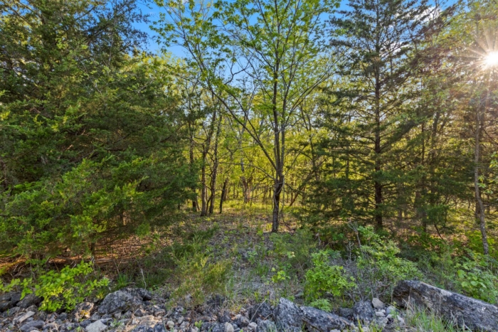 3.030 Acres, Benton County MO, Tranquil Living Close to Lake of the Ozarks, Parcel 15-5.0-22-000-003-037.000 - Image 20