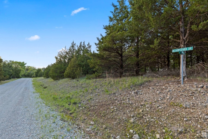 3.030 Acres, Benton County MO, Tranquil Living Close to Lake of the Ozarks, Parcel 15-5.0-22-000-003-037.000 - Image 22