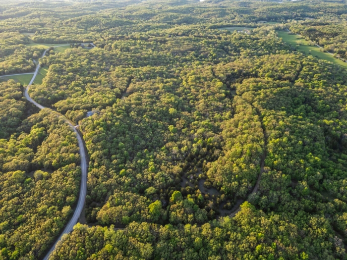 3.030 Acres, Benton County MO, Tranquil Living Close to Lake of the Ozarks, Parcel 15-5.0-22-000-003-037.000 - Image 4