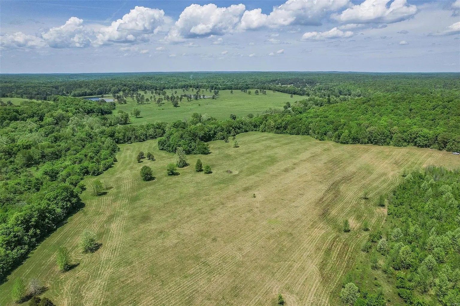 5 Acres, Butler County MO, Parcel 109-15-07-35-0-000-000-002-000 5 Acres, Butler, Missouri 15-07-35.0-000-000-002.000 - Image 3