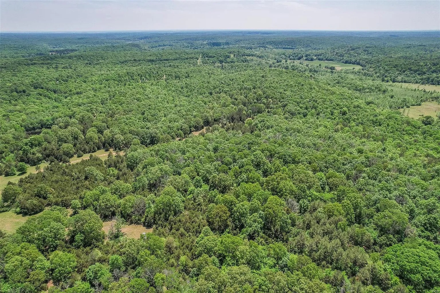 5 Acres, Butler County MO, Parcel 109-15-07-35-0-000-000-002-000 5 Acres, Butler, Missouri 15-07-35.0-000-000-002.000 - Image 5