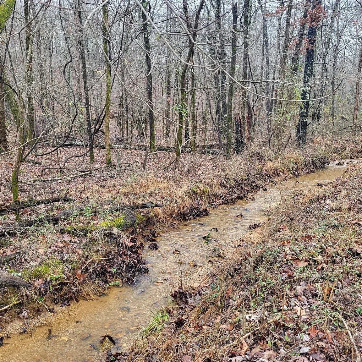 5 Acres, Butler County MO, Parcel 109-15-07-35-0-000-000-002-000 5 Acres, Butler, Missouri 15-07-35.0-000-000-002.000 - Image 7