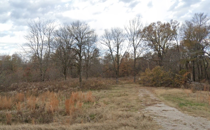 16.16 Acres, Butler County MO, Parcel 109-17-05-16-0-000-000-015-000 16.16 Acres, Butler, Missouri 109-17-05-16-0-000-000-015-000